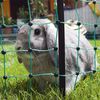 Kerbl Electrifiable Rabbit Netting Set 65 cm 292209