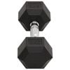 vidaXL Dumbbells 2 pcs 16 kg Total Cast Iron