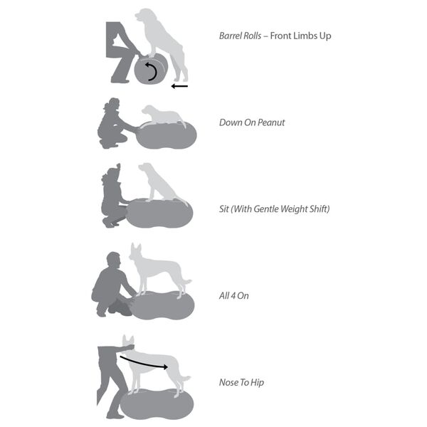 FitPAWS Pet Balance Platform Trax Peanut 60 cm Blue