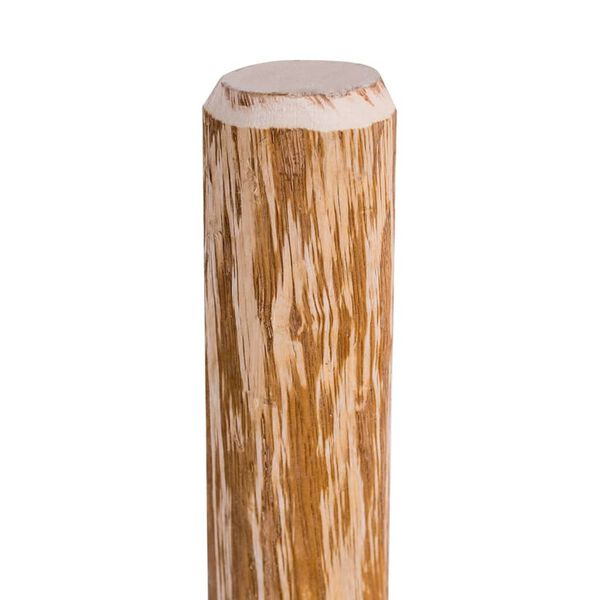 vidaXL Pointed Fence Posts 4 pcs Hazel Wood 120 cm
