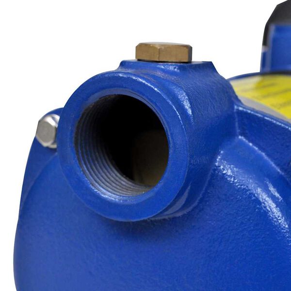 Jet Pump 1300 W 5100 L/h Blue