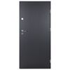 vidaXL Front Door Anthracite 100x200 cm Aluminium