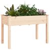 vidaXL Planter with Liner 118x59x76 cm Solid Wood Fir