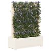 Product Thumbnail Image 2 of 6
