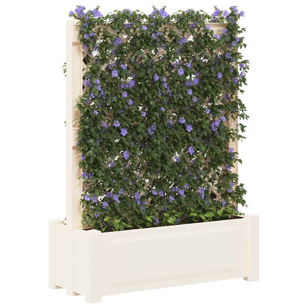 Showing Product Image 2 of 6