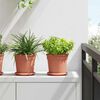 Product Thumbnail Image 2 of 12