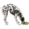 Kerbl Thinking and Learning Dog Toy Switch 25x2.5cm