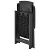 vidaXL Garden Reclining Chairs 2 pcs Plastic Anthracite
