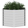 Product Thumbnail Image 4 of 6