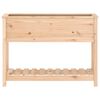 vidaXL Planter with Shelf 111.5x34.5x81 cm Solid Wood Pine
