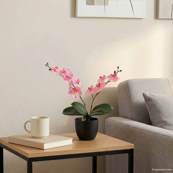 Showing Product Image 2 of 5