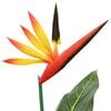 Product Thumbnail Image 5 of 6