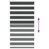 Product Thumbnail Image 5 of 16