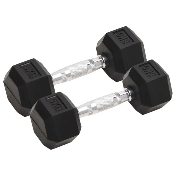 vidaXL Dumbbells 2 pcs 10 kg Total Cast Iron