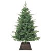 Product Thumbnail Image 3 of 7