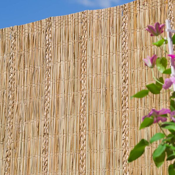 Nature Garden Screen Carex Sedge 3x1.5m