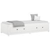vidaXL Day Bed without Mattress White 80x200 cm Solid Wood Pine