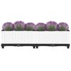 Product Thumbnail Image 3 of 9