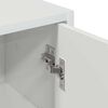 vidaXL Bathroom Cabinet with Door High Gloss White 39 x 23.5 x 65 cm