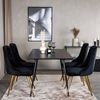 Venture Home Dining Chairs 2 pcs Velvet Deluxe Velvet Black and Brass
