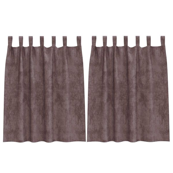 vidaXL Velvet Curtains with Curtains 2 pcs Brown 140 x 140 cm Velvet