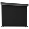 vidaXL Balcony Side Awning 125x250 cm Black
