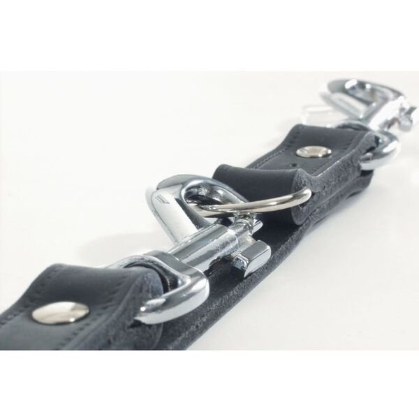 Beeztees Training Leash Leather Black 200x1.2 cm 736391