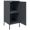vidaXL Sideboards 2 pcs Anthracite 36x39x79 cm Steel