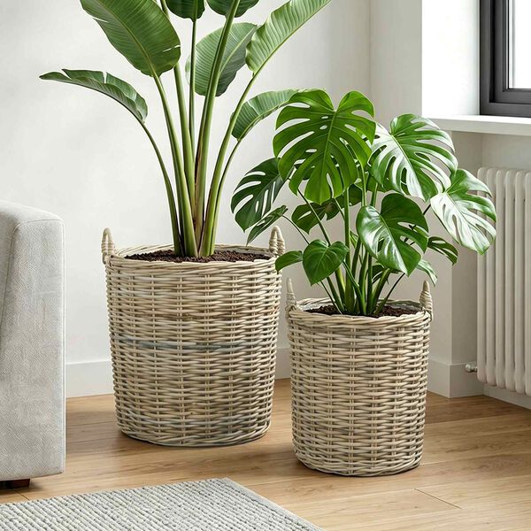 Showing Product Image 2 of 10