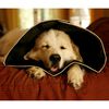 All Four Paws E-collar Comfy Cone XL 30cm Black