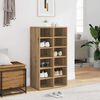 vidaXL Shoe Rack Artisan Oak 54x34x100.5 cm Engineered Wood