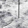 vidaXL Shaggy Rug High Pile NAVARRA Silver Grey 80x150 cm Polyester