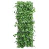 Product Thumbnail Image 4 of 6