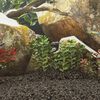Product Thumbnail Image 2 of 5