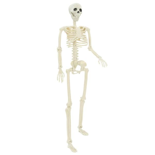 vidaXL Halloween Skeleton 2 pcs White 85 cm Polypropylene