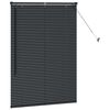 vidaXL Window Blind with Curtains Manual Black Aluminium