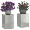 vidaXL Plant Stand 2 pcs Silver 24 x 24 x 35 cm Stainless steel