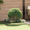 Product Thumbnail Image 2 of 8