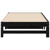 vidaXL Pull-out Day Bed without Mattress Black 2x(90x190) cm