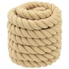 vidaXL Boat Rope 10 m 4 Natural PP