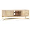 vidaXL TV Cabinet Gold 120x30x40 cm Solid Mango Wood