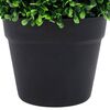 Product Thumbnail Image 5 of 6