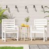 vidaXL Garden Chairs 2 pcs White 60x48x91 cm Solid Wood Pine