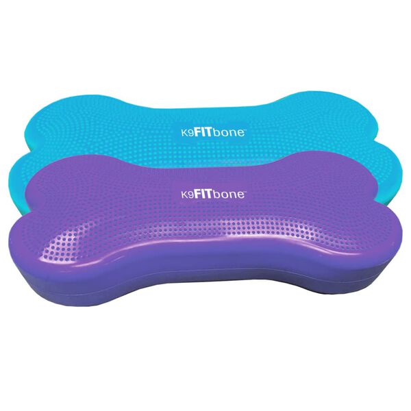 FitPAWS Pet Balance Platform Giant K9FITbone PVC Aqua