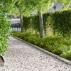 Product Thumbnail Image 2 of 9