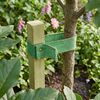 Product Thumbnail Image 2 of 7