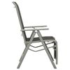 vidaXL Reclining Garden Chair Textilene and Aluminium Silver