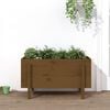 vidaXL Garden Raised Bed Honey Brown 101x50x57 cm Solid Wood Pine