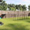 Product Thumbnail Image 2 of 8