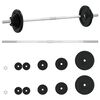 vidaXL Barbell with Plates Set 30 kg Cast Iron